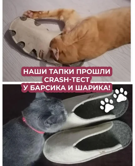 68a3f73b-dab7-40d2-a3e8-0eeb40efa380-3.jpg