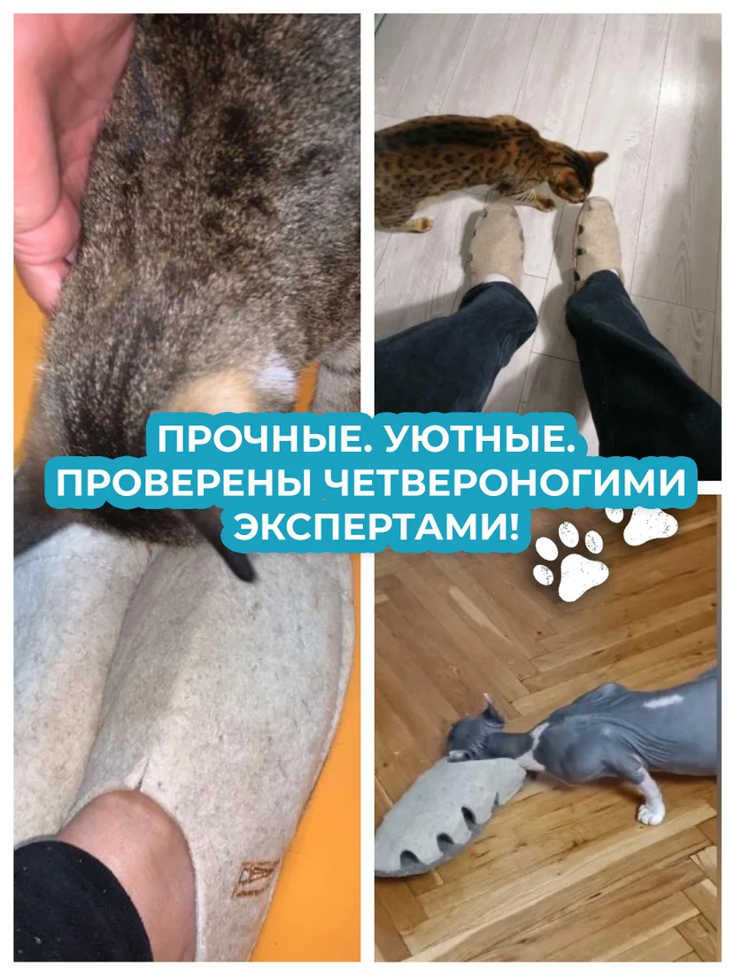 Всегда на связи