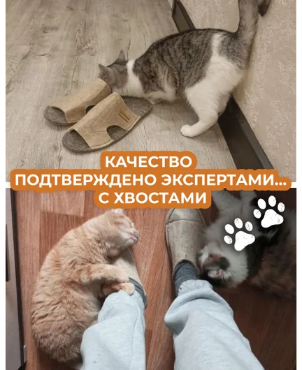 b258ea6f-a40f-4150-a8c8-da5ea1d4e182-7.jpg
