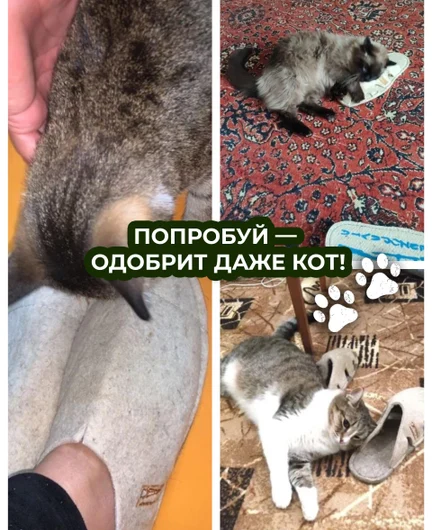 ee42e604-7fe5-4338-991b-5236057b6ee4-11.jpg