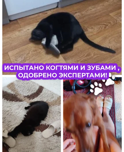 e8f64e05-bed0-45d6-98df-f51eb31d16c9-10.jpg
